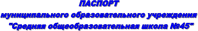 ПАСПОРТ 
муниципального образовательного учреждения 
 "Средняя общеобразовательная школа №45"